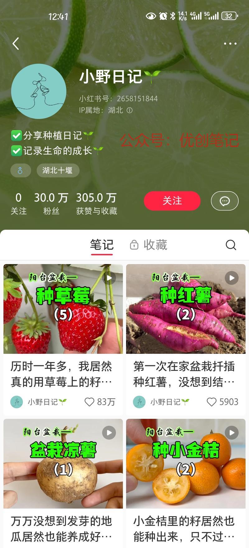 红书植物盆栽类账号流量…#情报-搞钱线报📢论坛-网创交流-优创圈